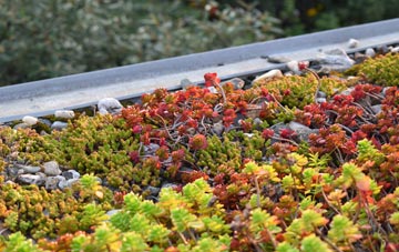 the cost of Lower Sydenham green roof installation