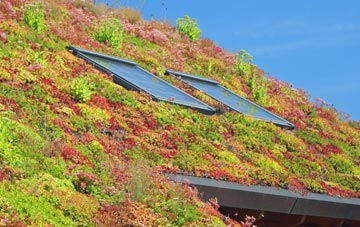 Lower Sydenham living roof systems
